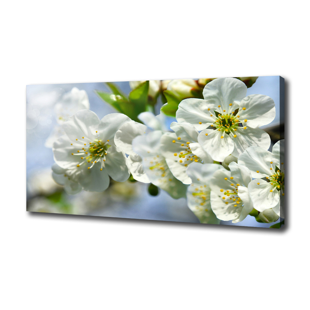 Canvas wall art Cherry Blossom