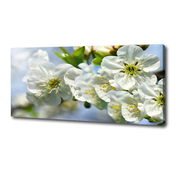 Canvas wall art Cherry Blossom