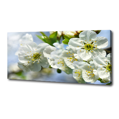 Canvas wall art Cherry Blossom