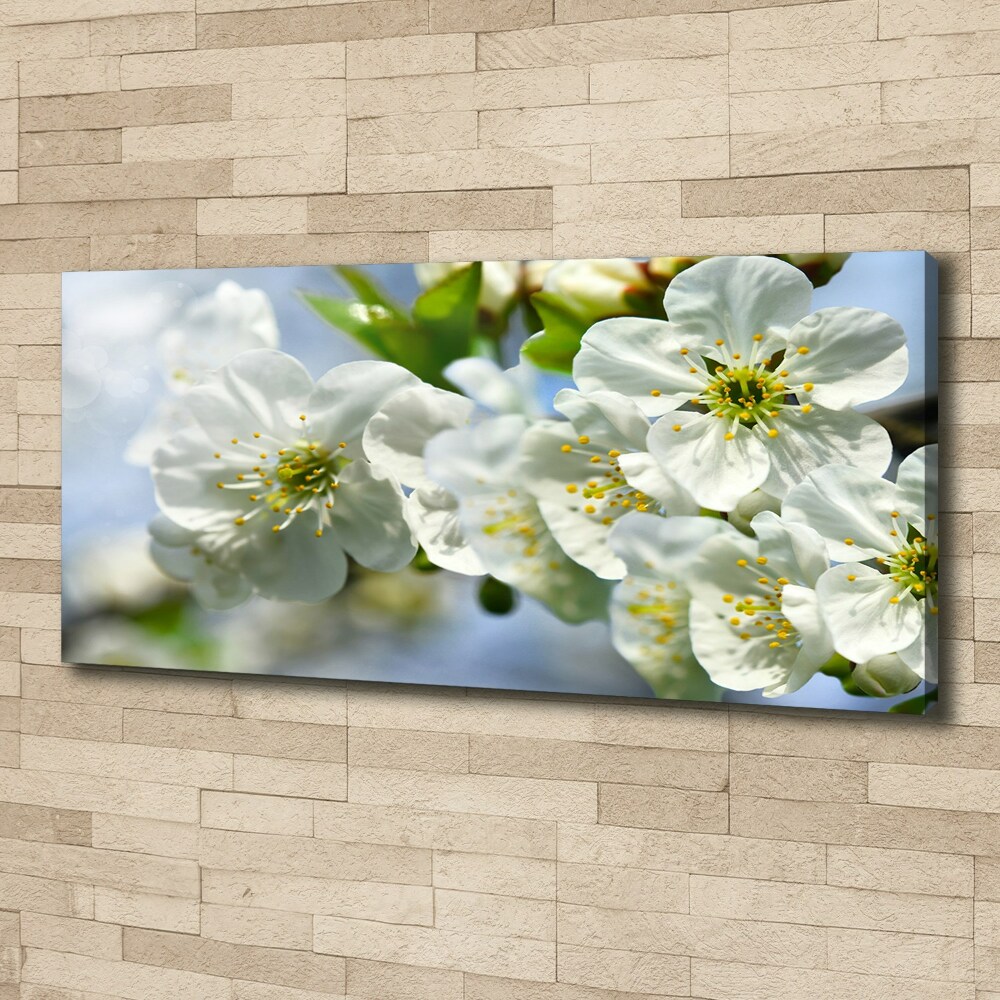 Canvas wall art Cherry Blossom