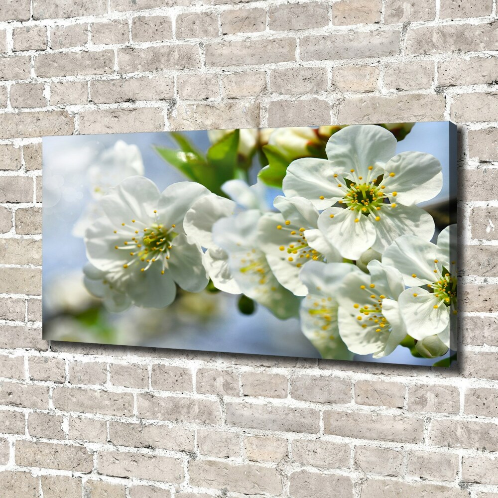 Canvas wall art Cherry Blossom