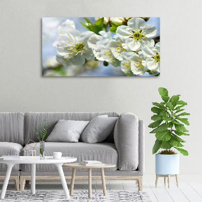 Canvas wall art Cherry Blossom