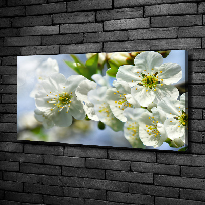 Canvas wall art Cherry Blossom