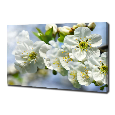 Canvas wall art Cherry Blossom