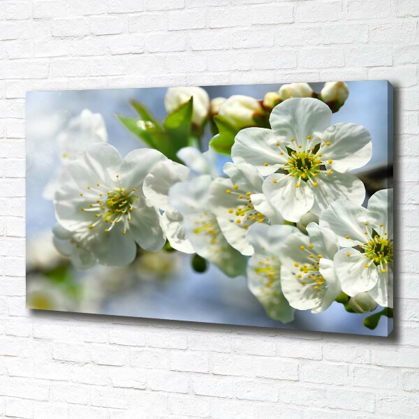 Canvas wall art Cherry Blossom