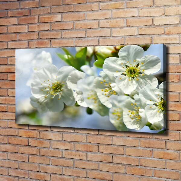 Canvas wall art Cherry Blossom