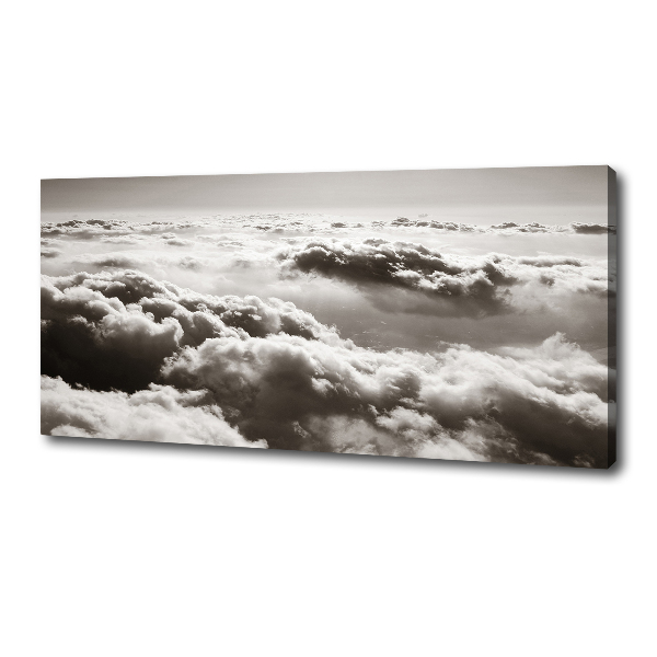 Canvas wall art Bird's flight clouds