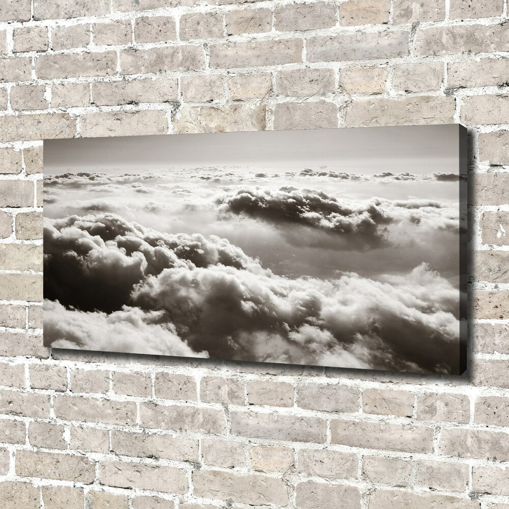 Canvas wall art Bird's flight clouds