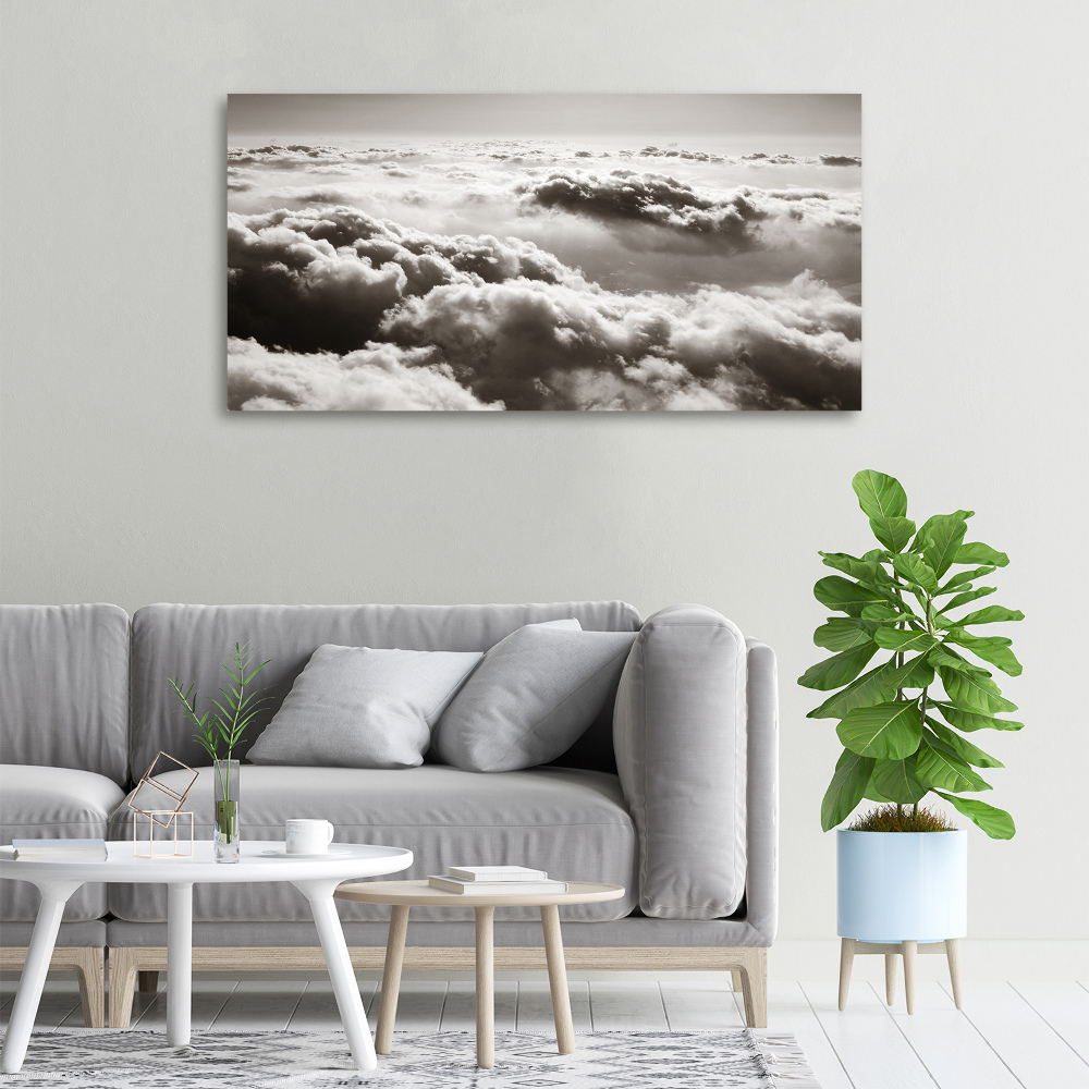 Canvas wall art Bird's flight clouds