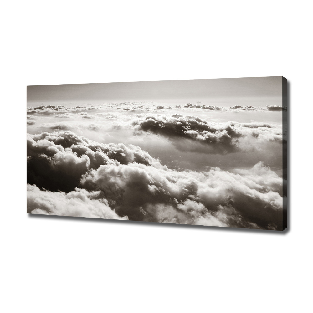 Canvas wall art Bird's flight clouds