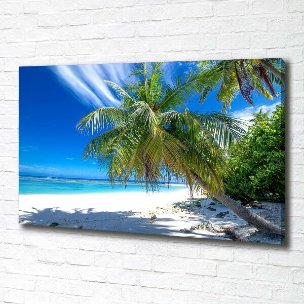 Canvas wall art Tropical beach