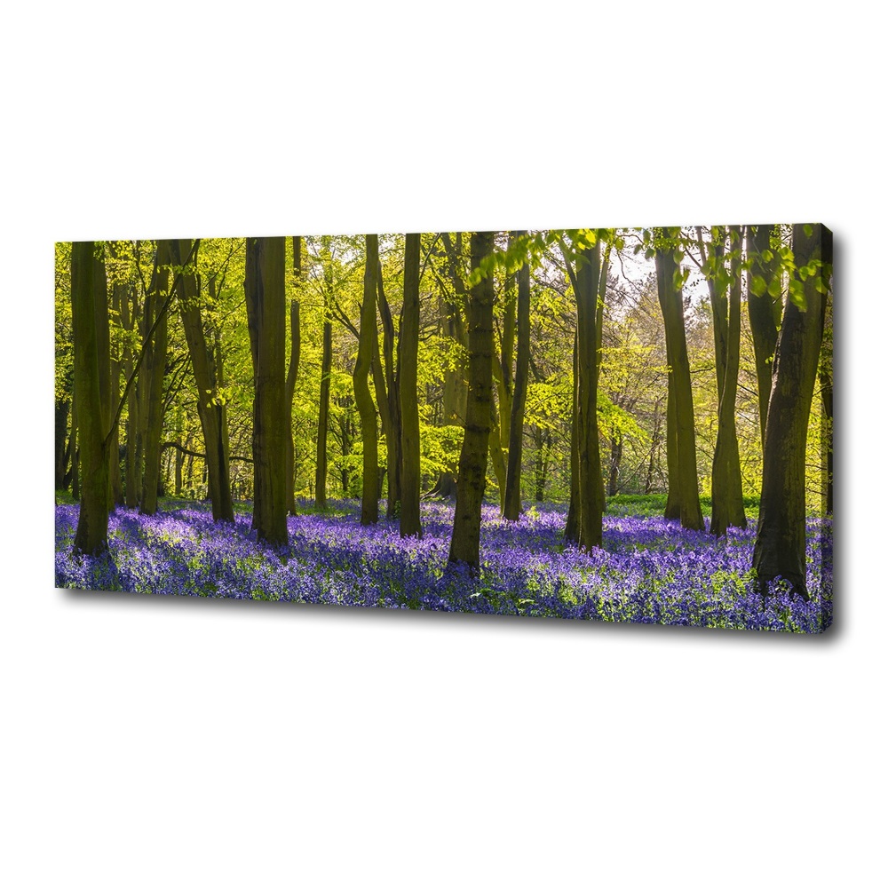 Canvas wall art Forest