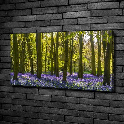 Canvas wall art Forest