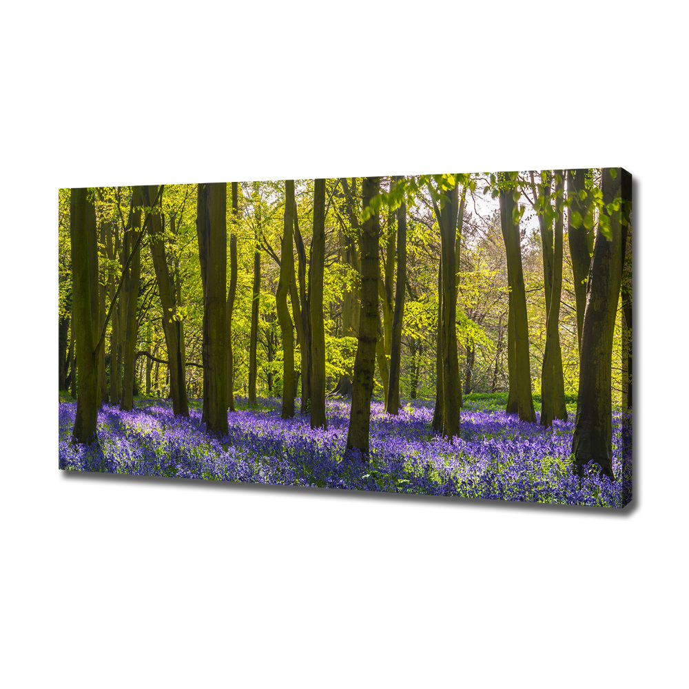 Canvas wall art Forest