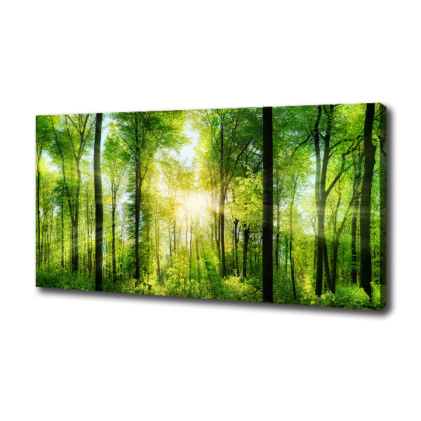 Canvas wall art Forest in the sun