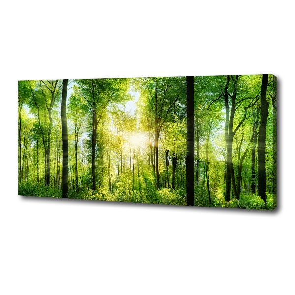 Canvas wall art Forest in the sun