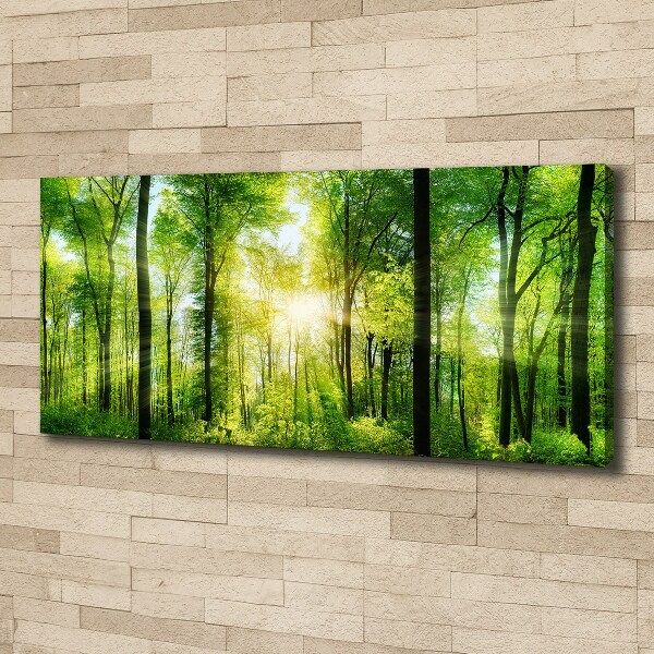 Canvas wall art Forest in the sun