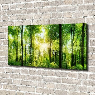 Canvas wall art Forest in the sun