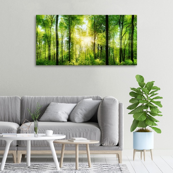 Canvas wall art Forest in the sun