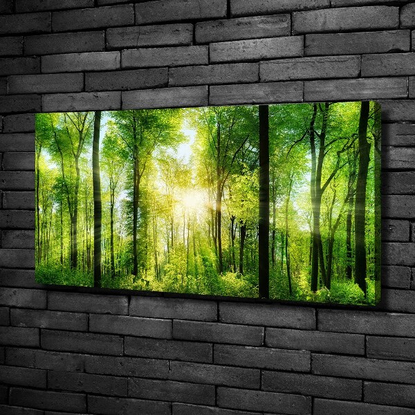 Canvas wall art Forest in the sun