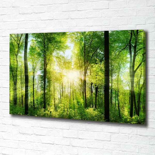 Canvas wall art Forest in the sun