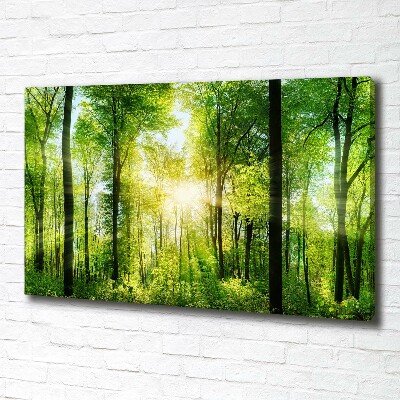 Canvas wall art Forest in the sun