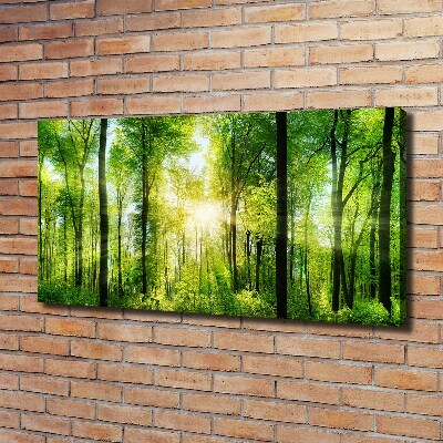 Canvas wall art Forest in the sun