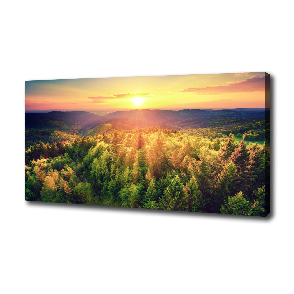 Canvas wall art West forest