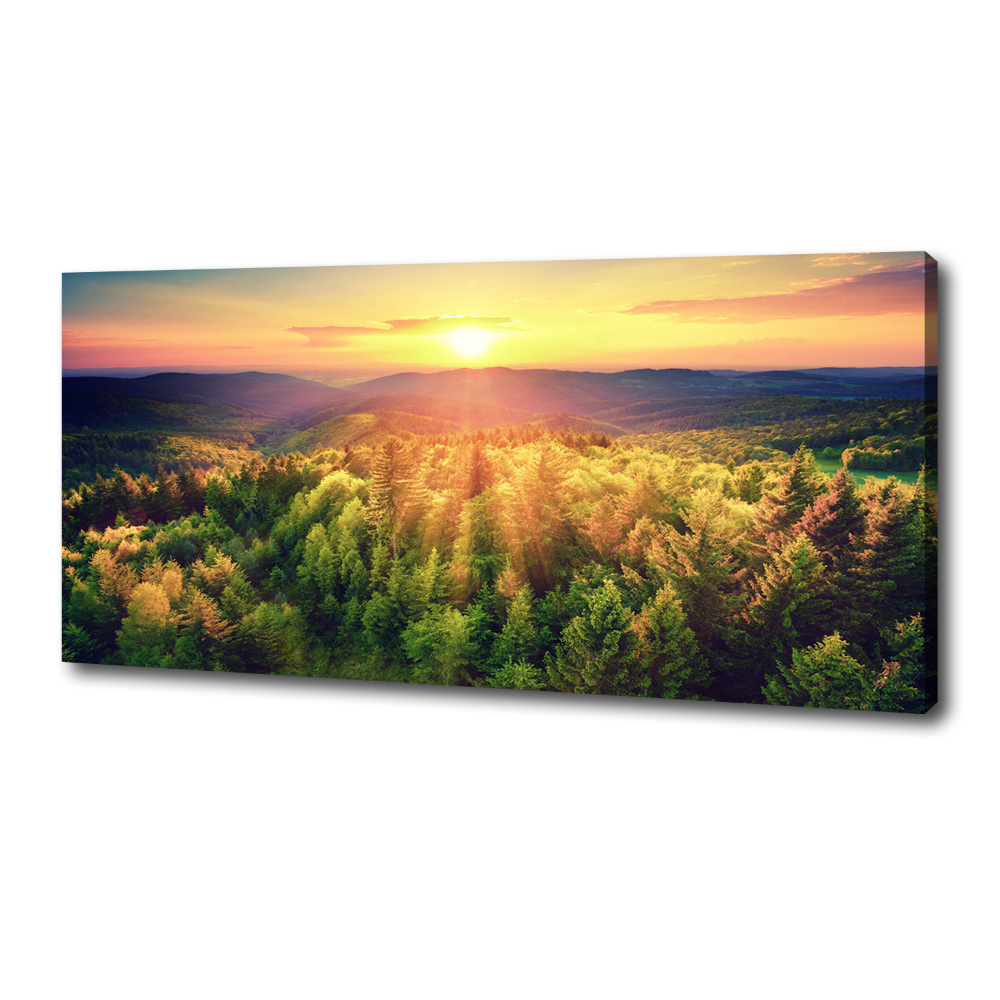 Canvas wall art West forest