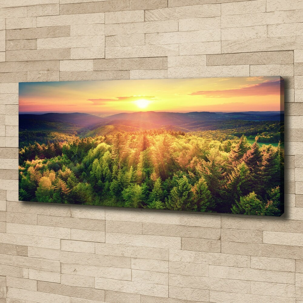 Canvas wall art West forest