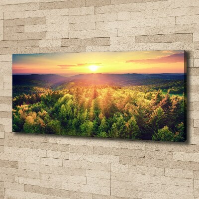 Canvas wall art West forest