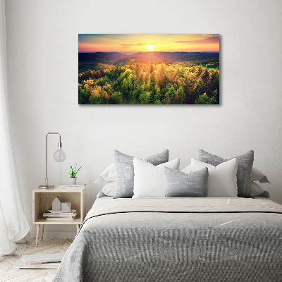 Canvas wall art West forest