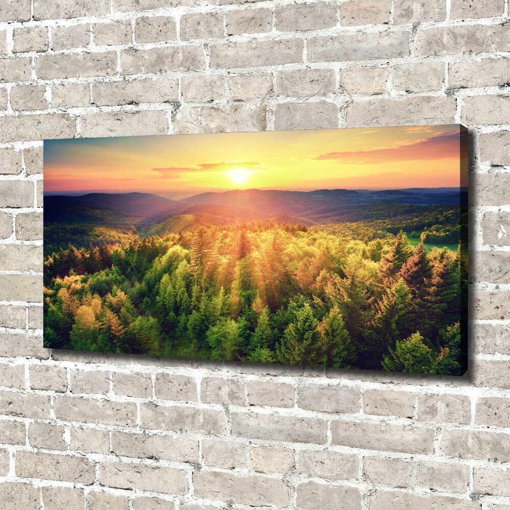 Canvas wall art West forest