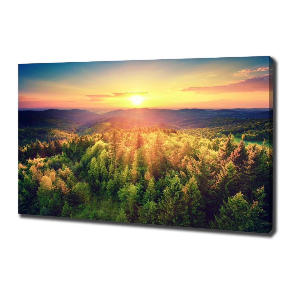 Canvas wall art West forest