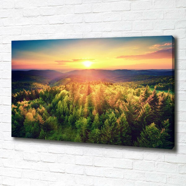 Canvas wall art West forest