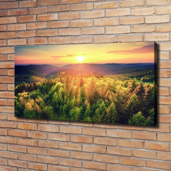 Canvas wall art West forest