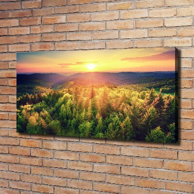 Canvas wall art West forest