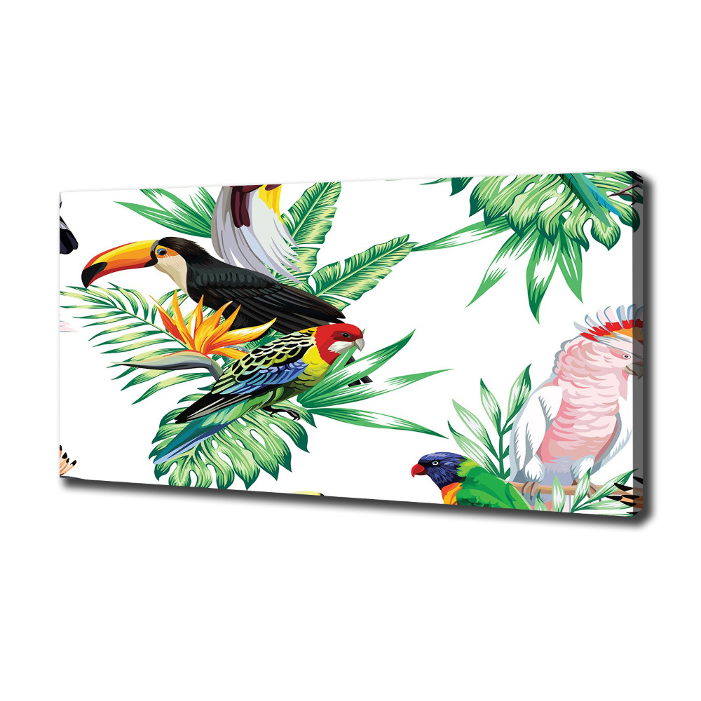 Canvas wall art Tropical birds