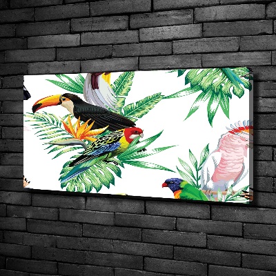 Canvas wall art Tropical birds