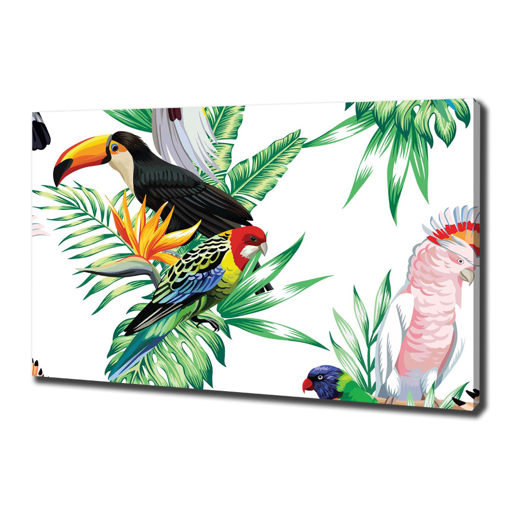 Canvas wall art Tropical birds