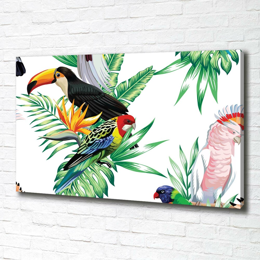 Canvas wall art Tropical birds