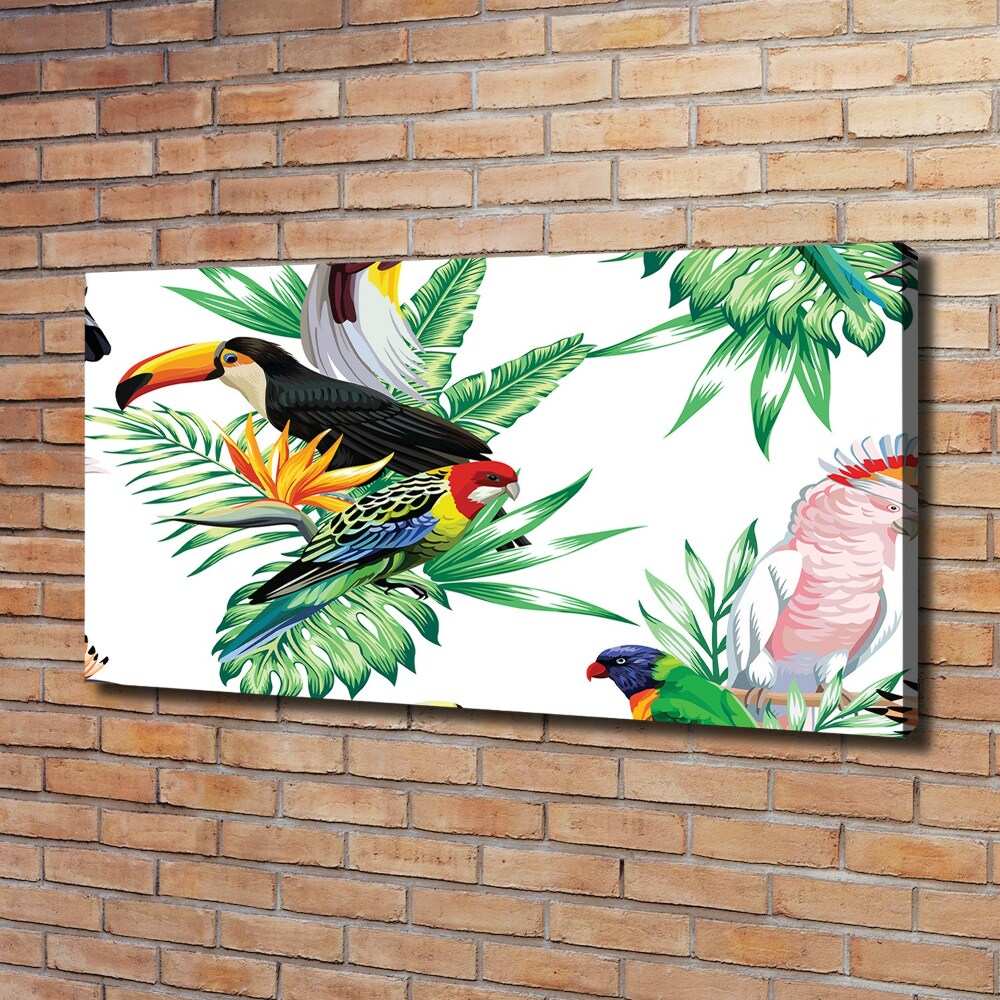 Canvas wall art Tropical birds