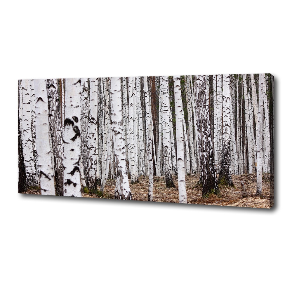 Canvas wall art Birch