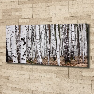 Canvas wall art Birch