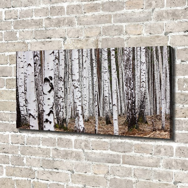 Canvas wall art Birch