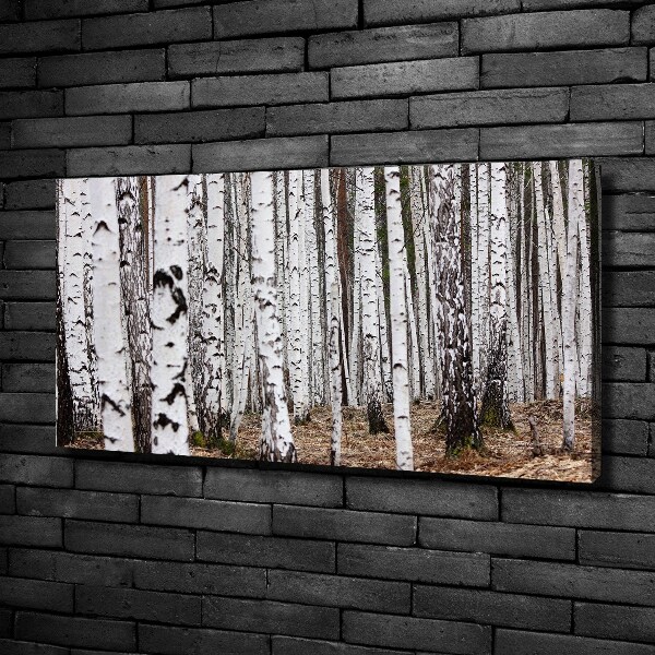 Canvas wall art Birch