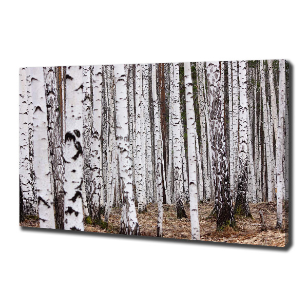 Canvas wall art Birch