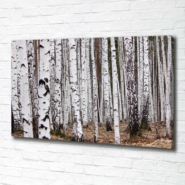 Canvas wall art Birch