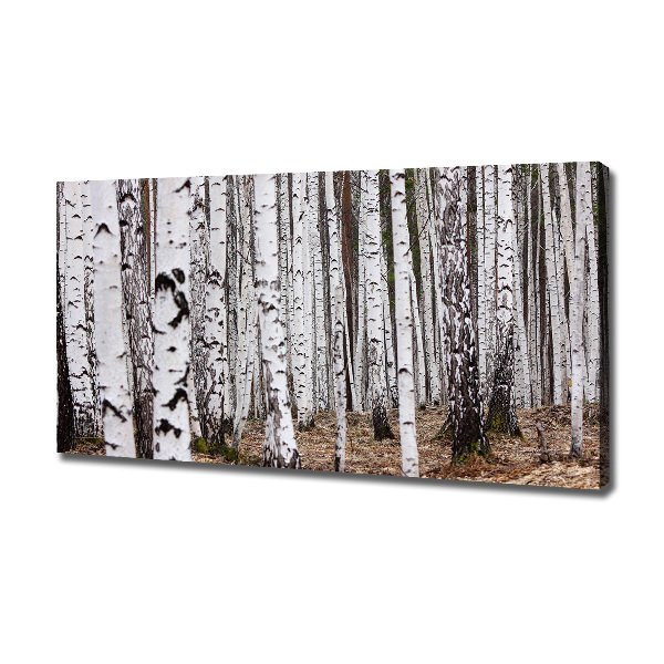 Canvas wall art Birch