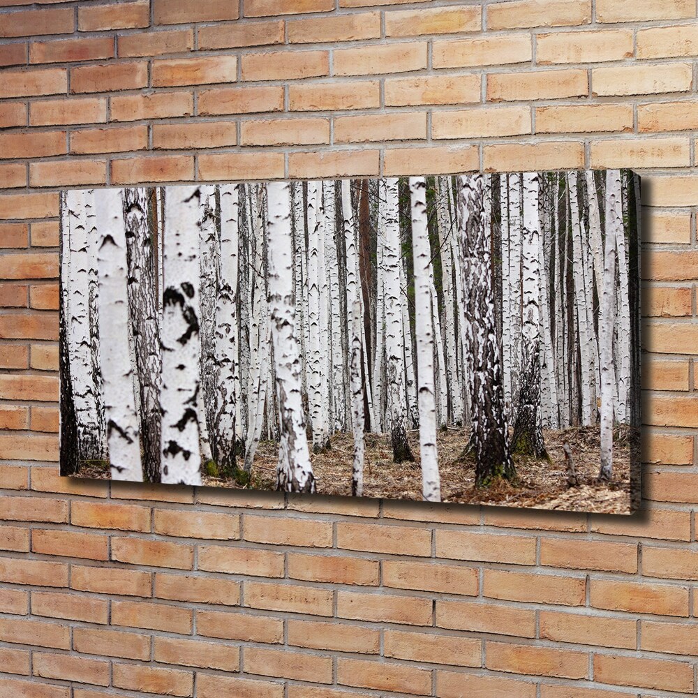 Canvas wall art Birch